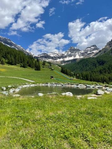 Edelweiss Hotel Champoluc Esterno foto